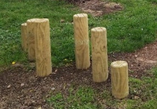 Stepping Logs